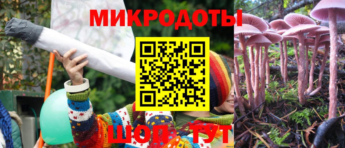 Галлюциногенные грибы прущие грибы Дзержинский