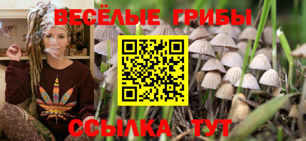 Галлюциногенные грибы прущие грибы  Вход с VPN  Дзержинский 